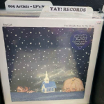 A vinyl record cover in a record flip bin by the artist Boy/Girl. The album is "I've Already Been to the Moon" and there is a small tag that reads $24.00. There are two tab dividers visible in the bin that read "805 Artists - LP's New" and "Yay! Records."